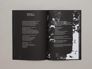 Hunters Follow Harpy Shadows - Antenne Books