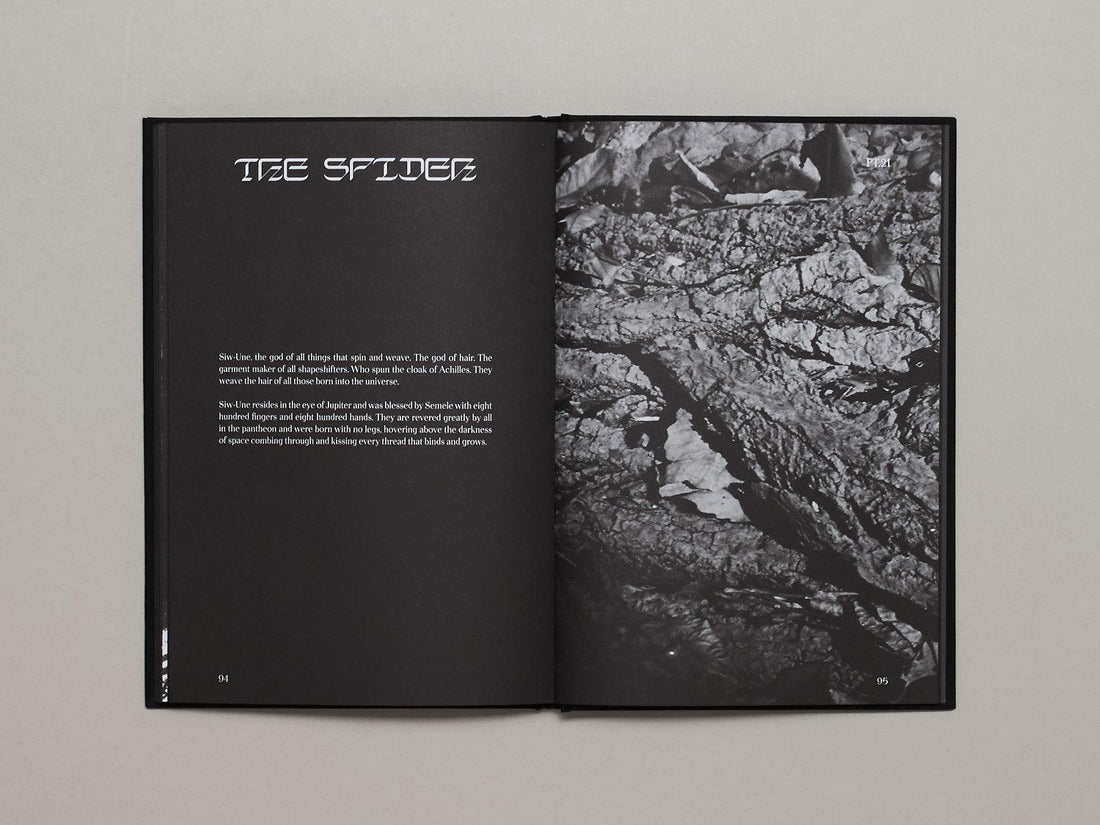 Hunters Follow Harpy Shadows - Antenne Books