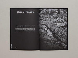 Hunters Follow Harpy Shadows - Antenne Books