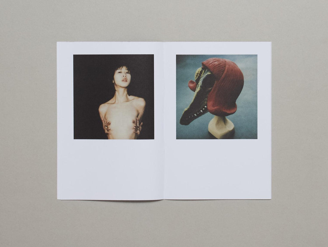 Polanography - Antenne Books