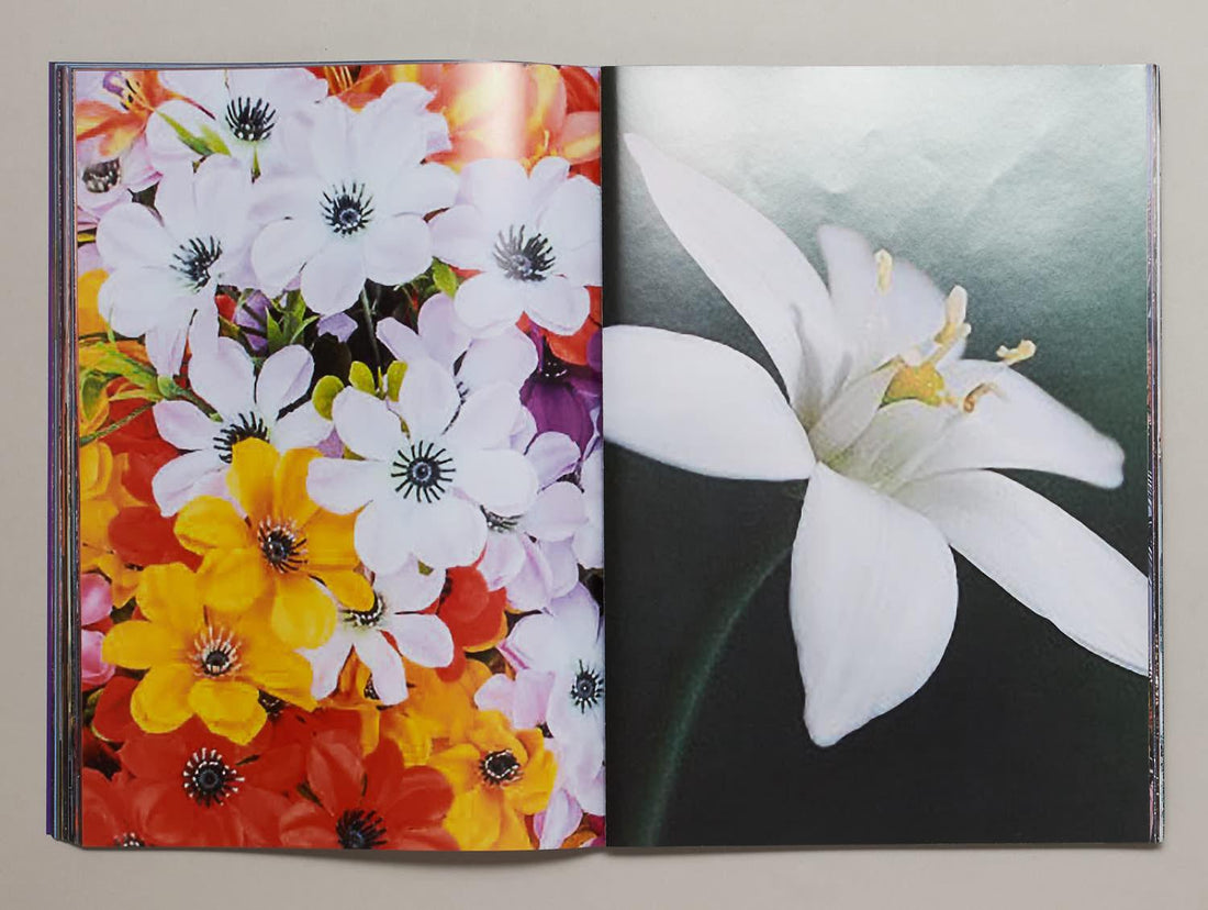 #INGRID - Antenne Books