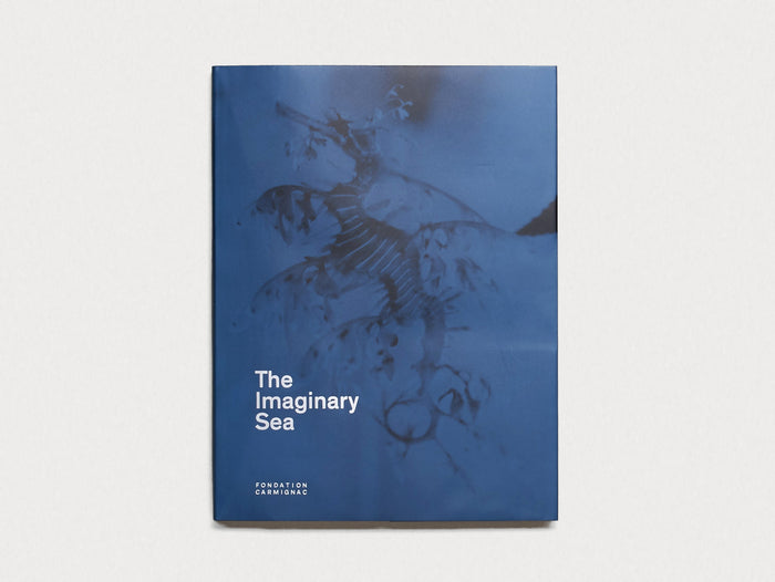 The Imaginary Sea