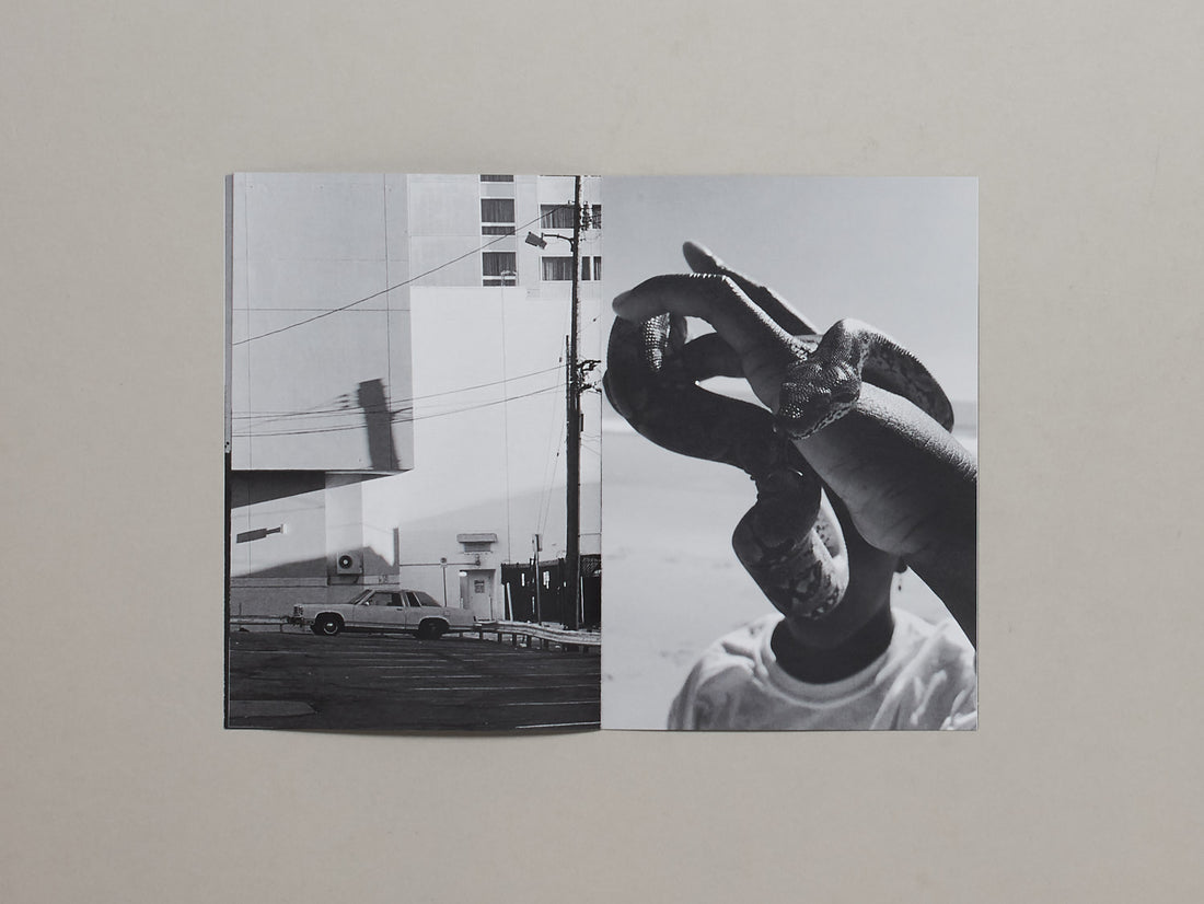 In Light of Darkness