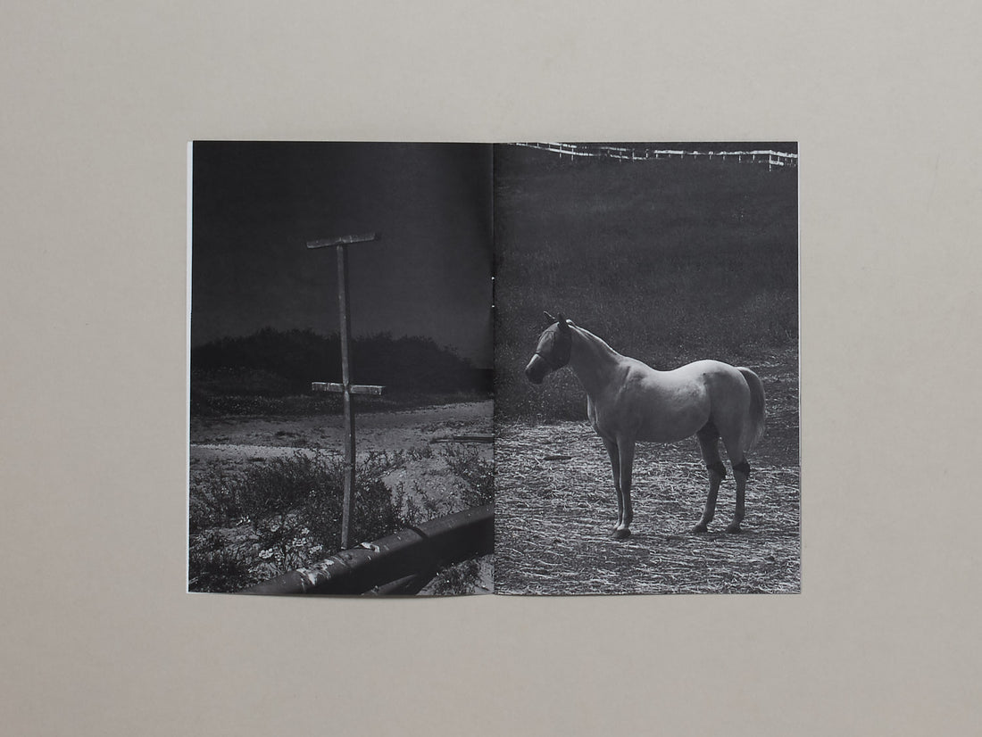 In Light of Darkness