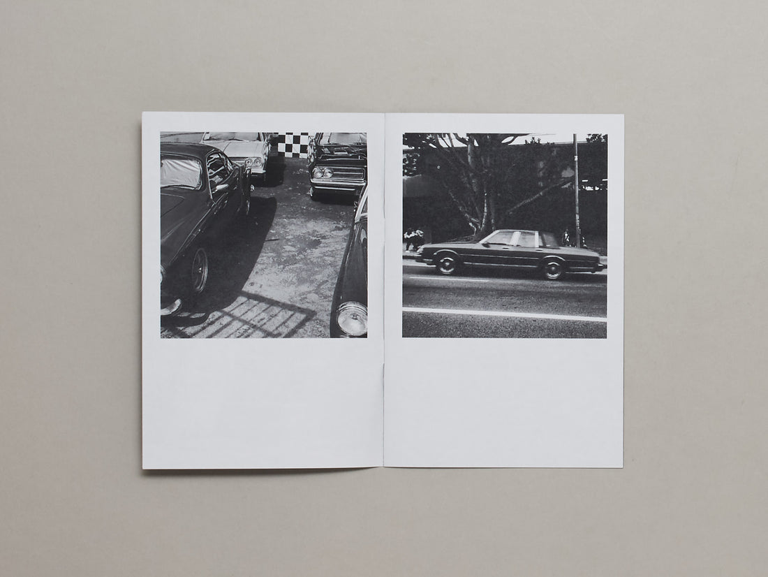 In Light of Darkness