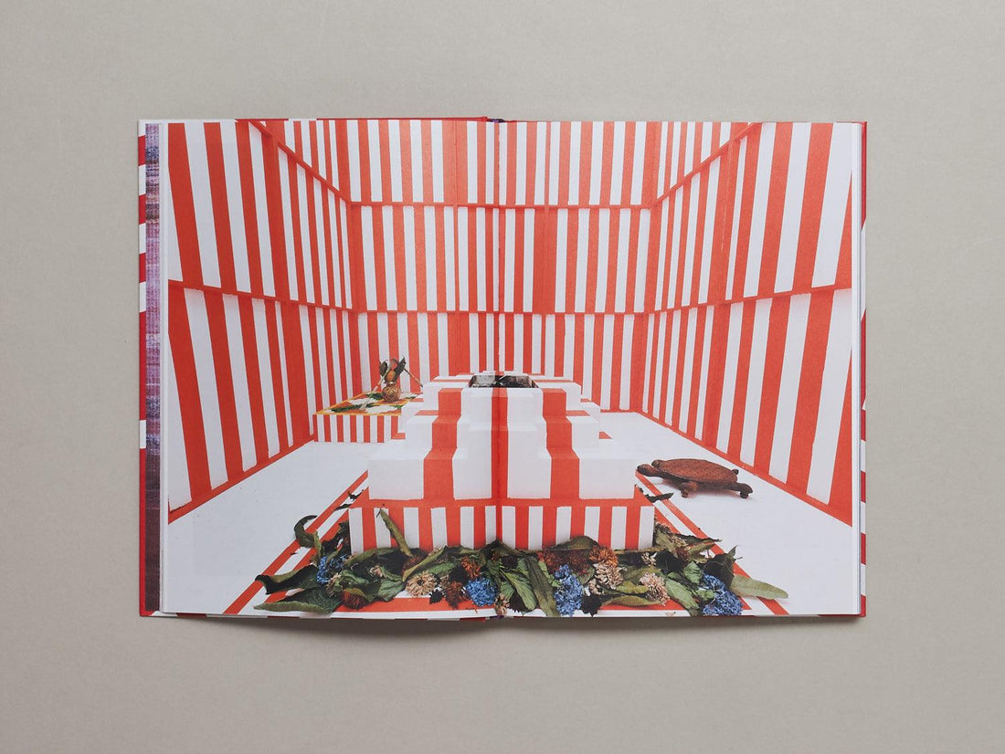 AA Bronson’s House of Shame - Antenne Books