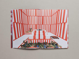 AA Bronson’s House of Shame - Antenne Books