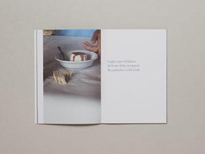 In Constant Hilarity - Antenne Books