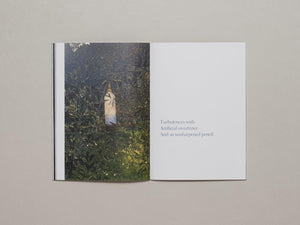 In Constant Hilarity - Antenne Books