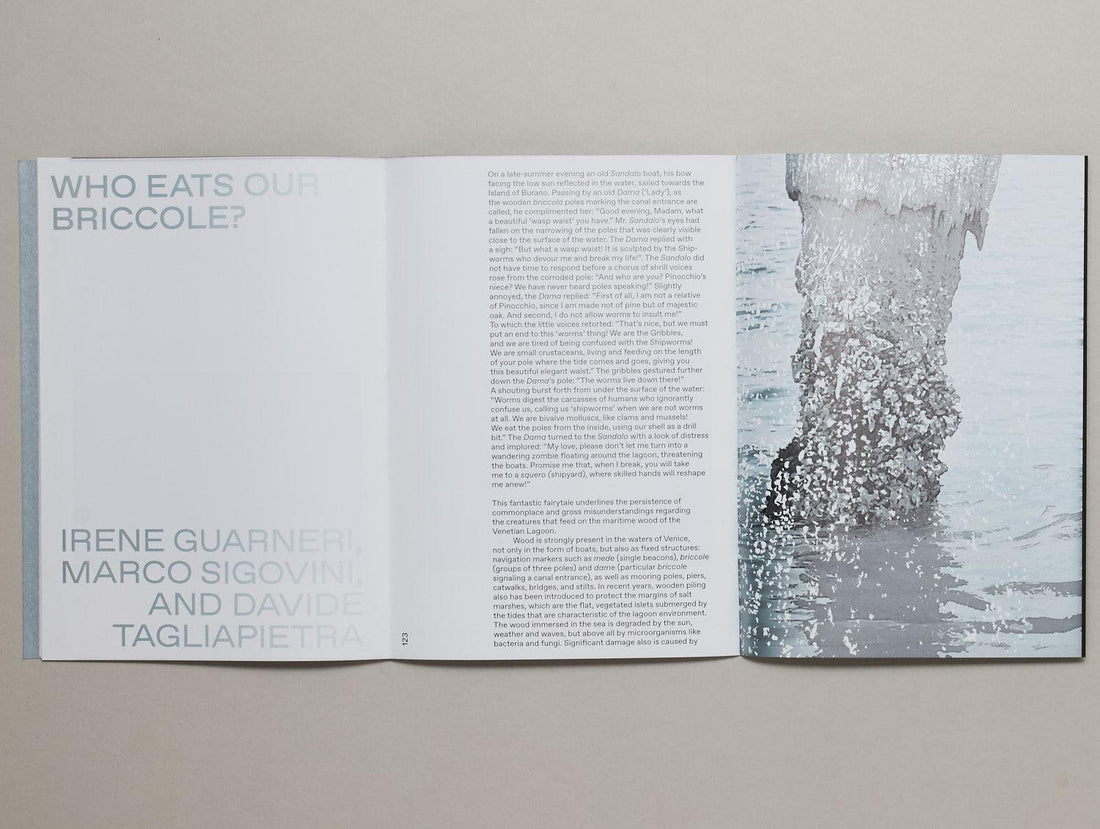 Shallow Waters: Shifting geographies of two extreme urban deltas - Antenne Books