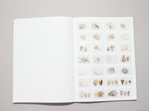 Index - Antenne Books