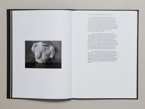 Replica - Antenne Books