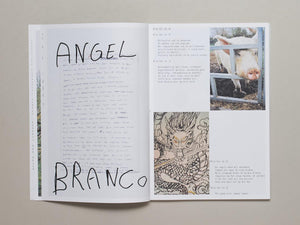 BIRDS OF A FEATHER - Antenne Books