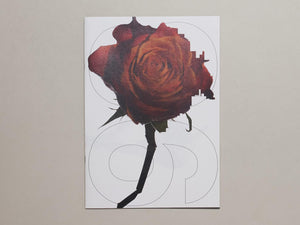 93, Flower - Antenne Books