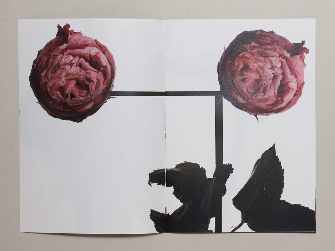 93, Flower - Antenne Books