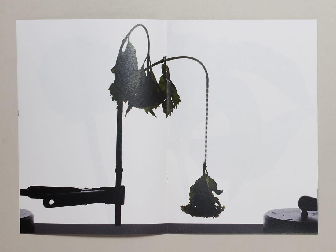 93, Flower - Antenne Books