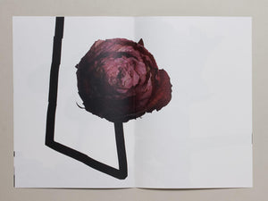 93, Flower - Antenne Books