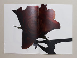 93, Flower - Antenne Books