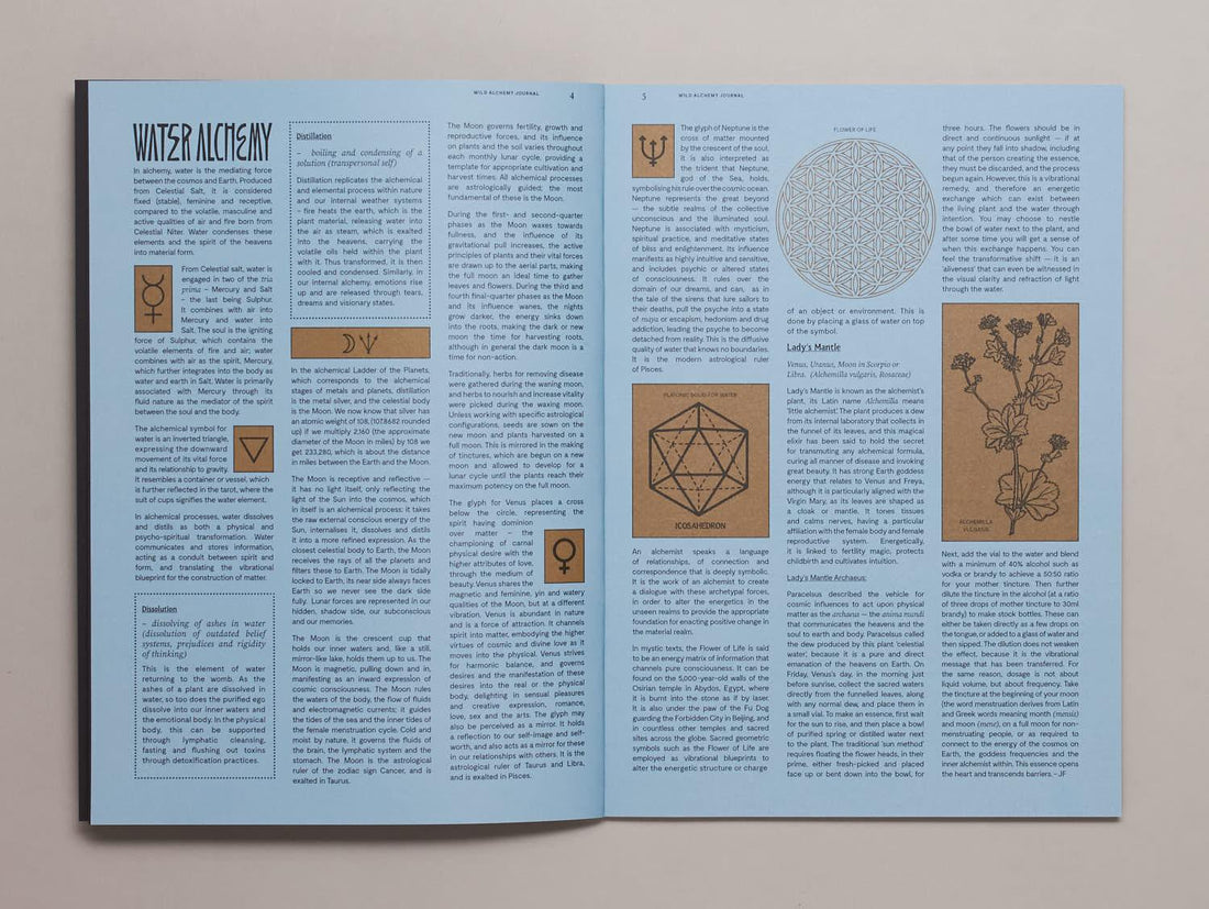 Wild Alchemy Journal Issue 3 - Water Edition - Antenne Books
