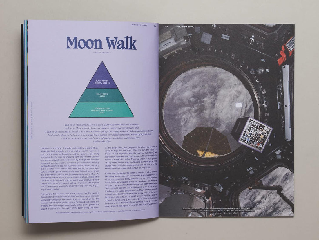 Wild Alchemy Journal Issue 3 - Water Edition - Antenne Books