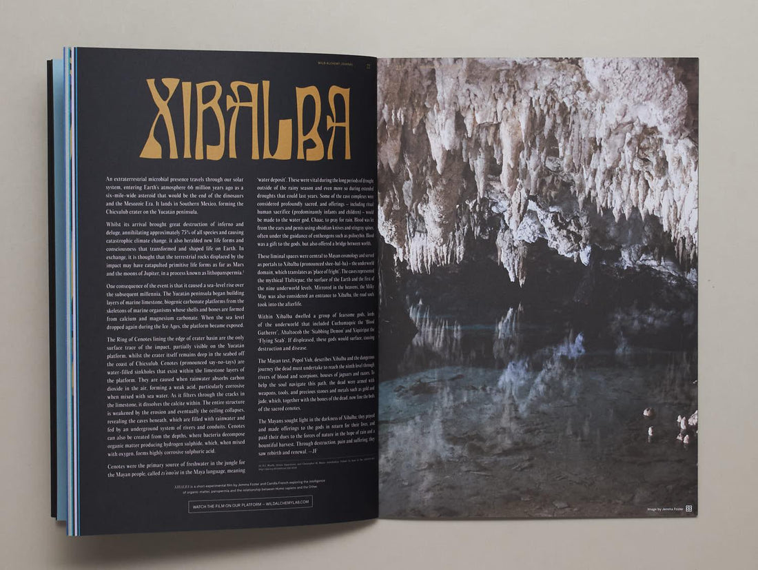 Wild Alchemy Journal Issue 3 - Water Edition - Antenne Books