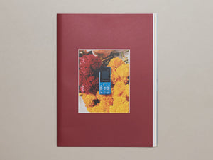 Buddha Was Born Here