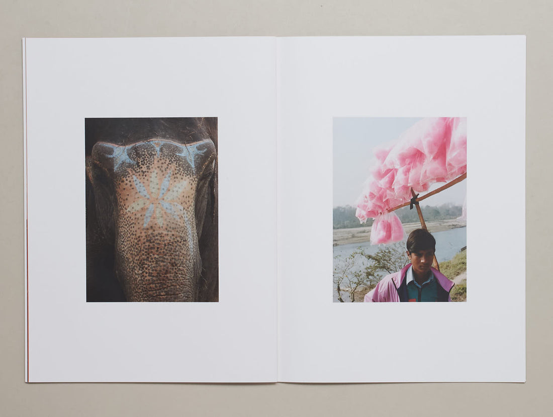 Buddha Was Born Here