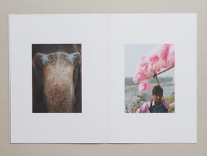 Buddha Was Born Here