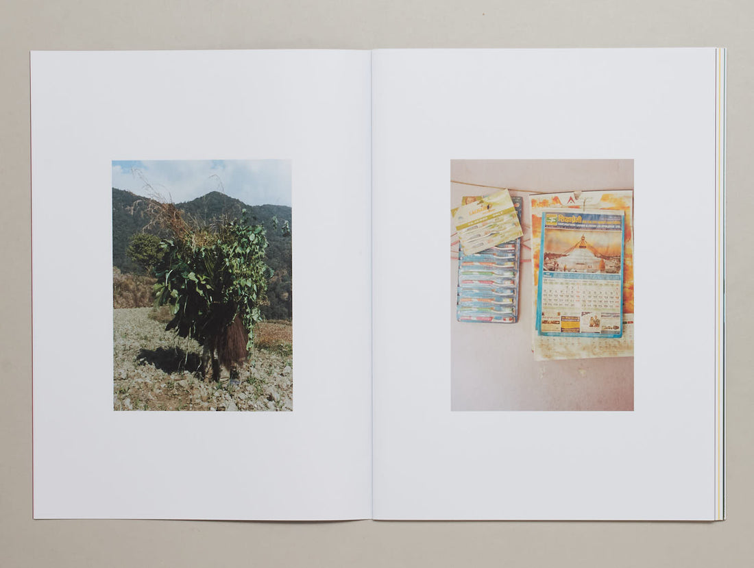 Buddha Was Born Here