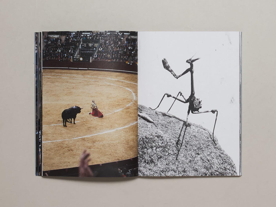 When You Invent The Ship, You Also Invent The Shipwreck - Antenne Books