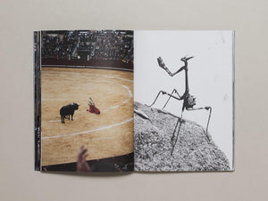 When You Invent The Ship, You Also Invent The Shipwreck - Antenne Books