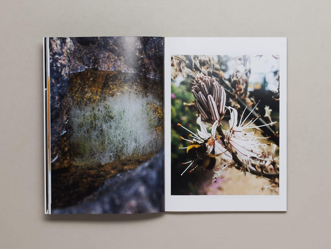 When You Invent The Ship, You Also Invent The Shipwreck - Antenne Books