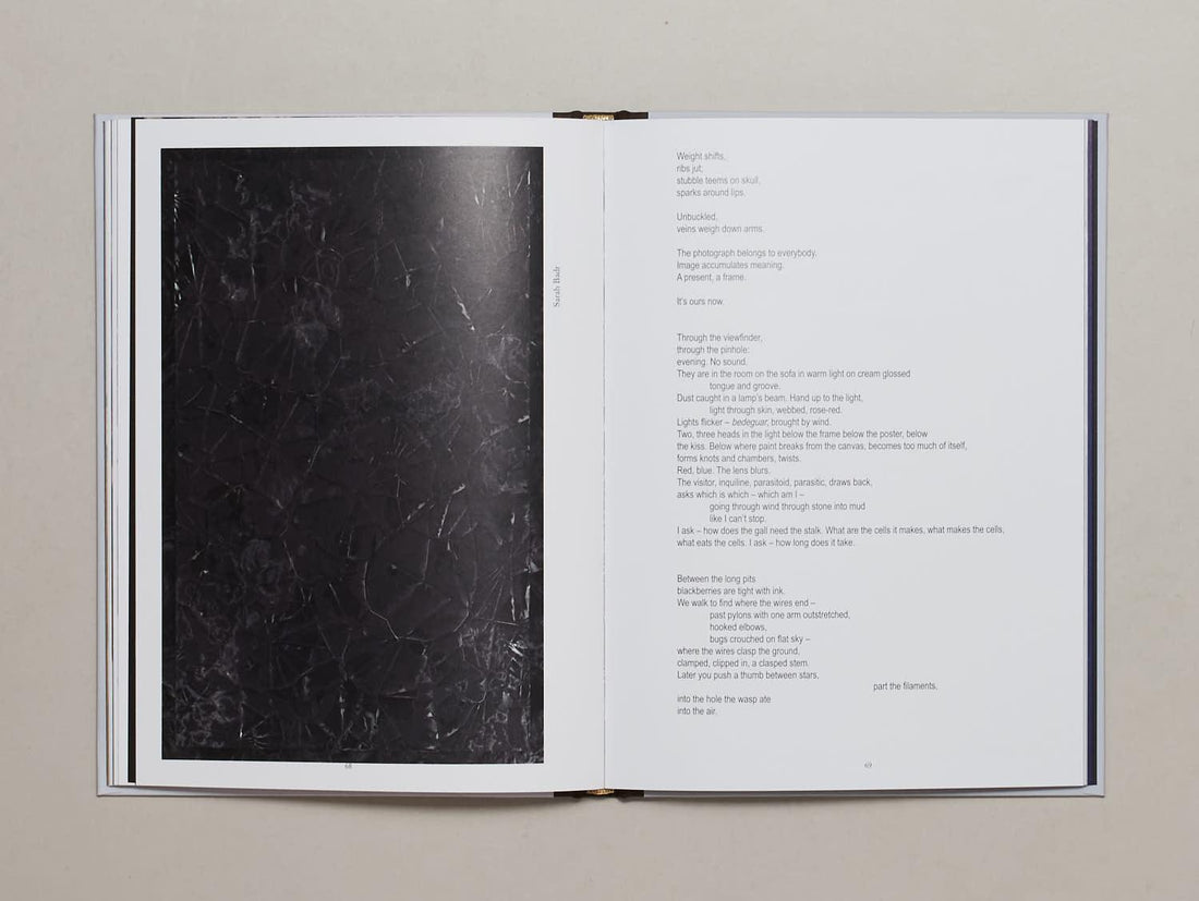 Fifth Quarter - Antenne Books