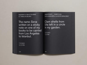 Nostalgia - Antenne Books