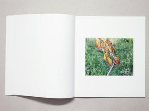 Dokuso - Antenne Books