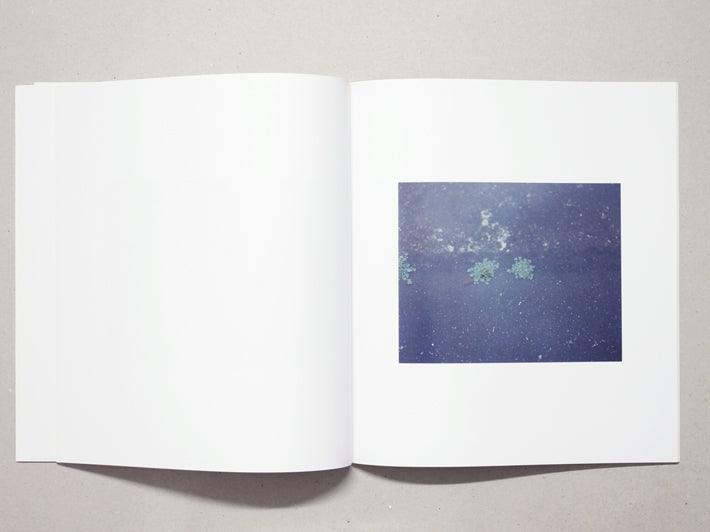 Dokuso - Antenne Books