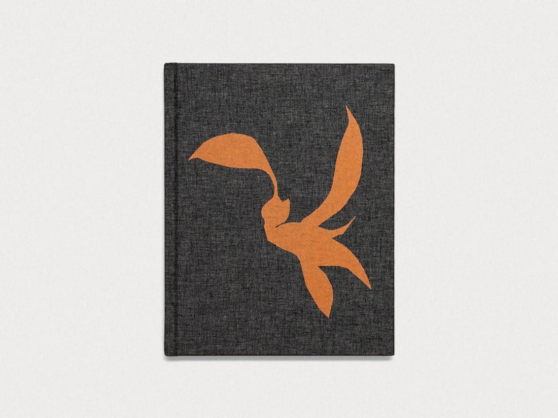 SCRIM - Antenne Books