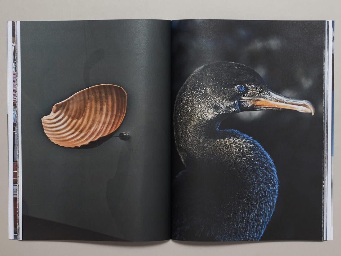 Cartography, No. 9 - Antenne Books