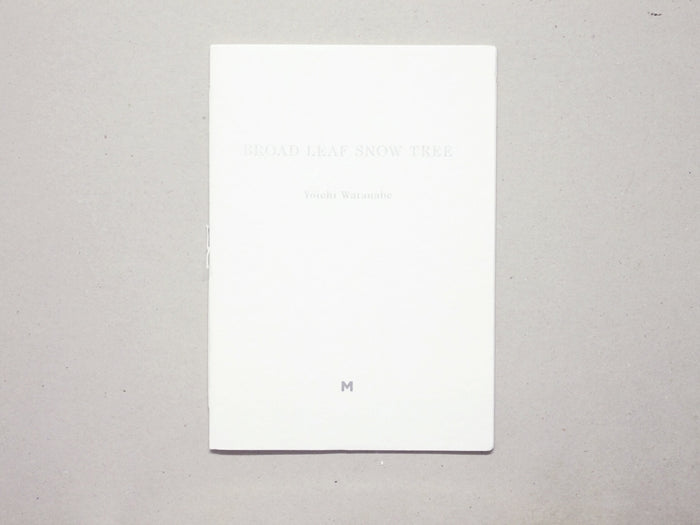 Broad Leaf Snow Tree