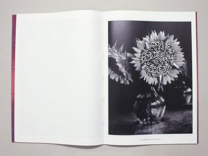 Impact - Antenne Books