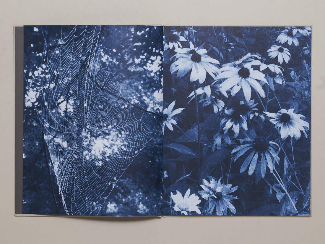 Ecstatic Nature - Antenne Books