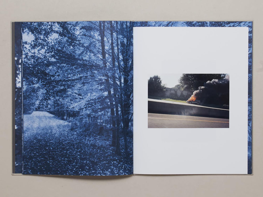 Ecstatic Nature - Antenne Books