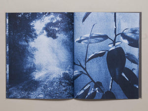 Ecstatic Nature - Antenne Books