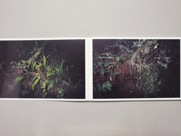 Colors - Antenne Books