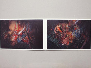 Colors - Antenne Books