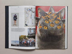 The Book of Images An illustrated dictionary of visual experiences From A to Z - Antenne Books