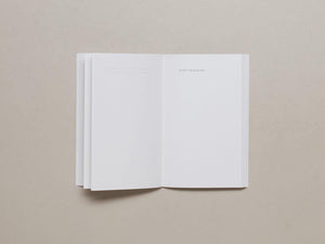 The Day My Mother Touched Robert Ryman - Antenne Books