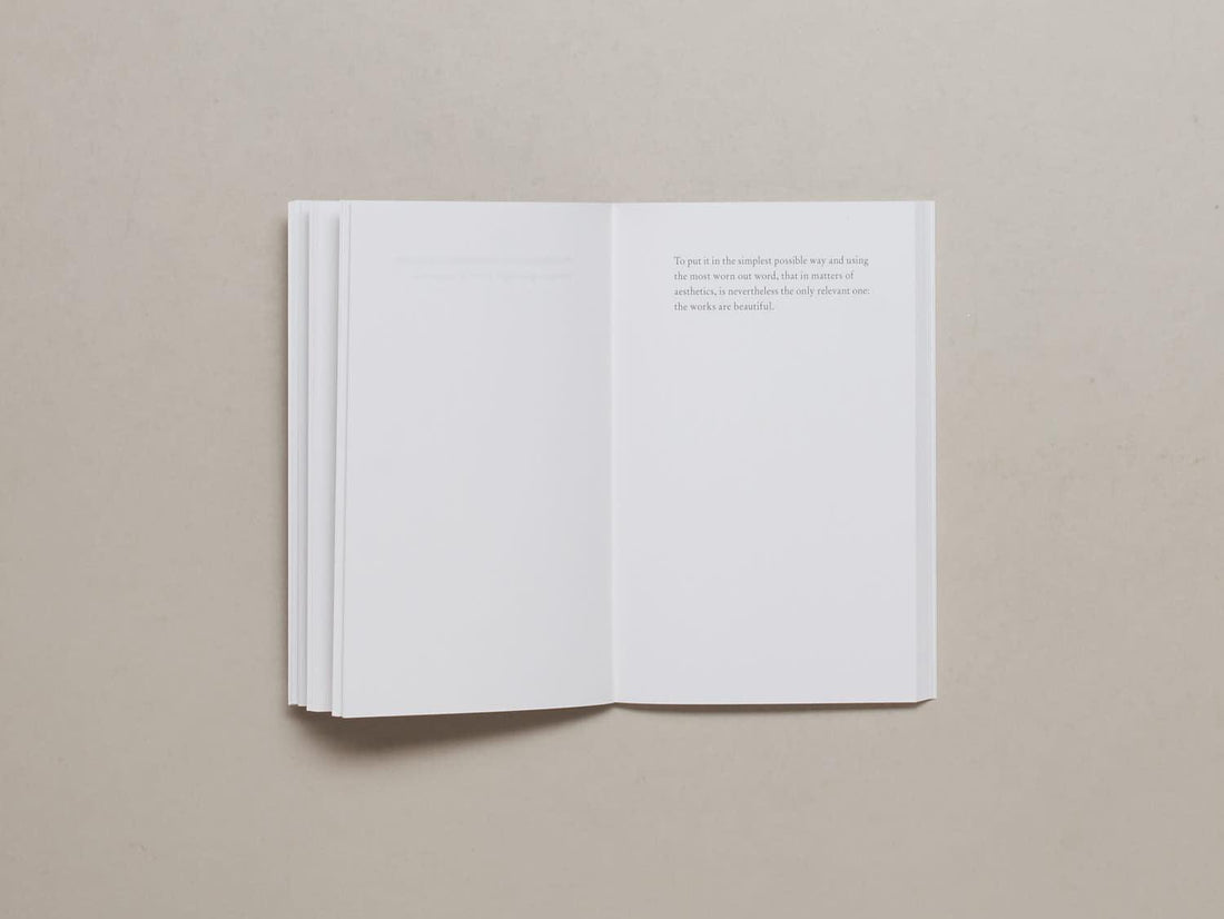 The Day My Mother Touched Robert Ryman - Antenne Books