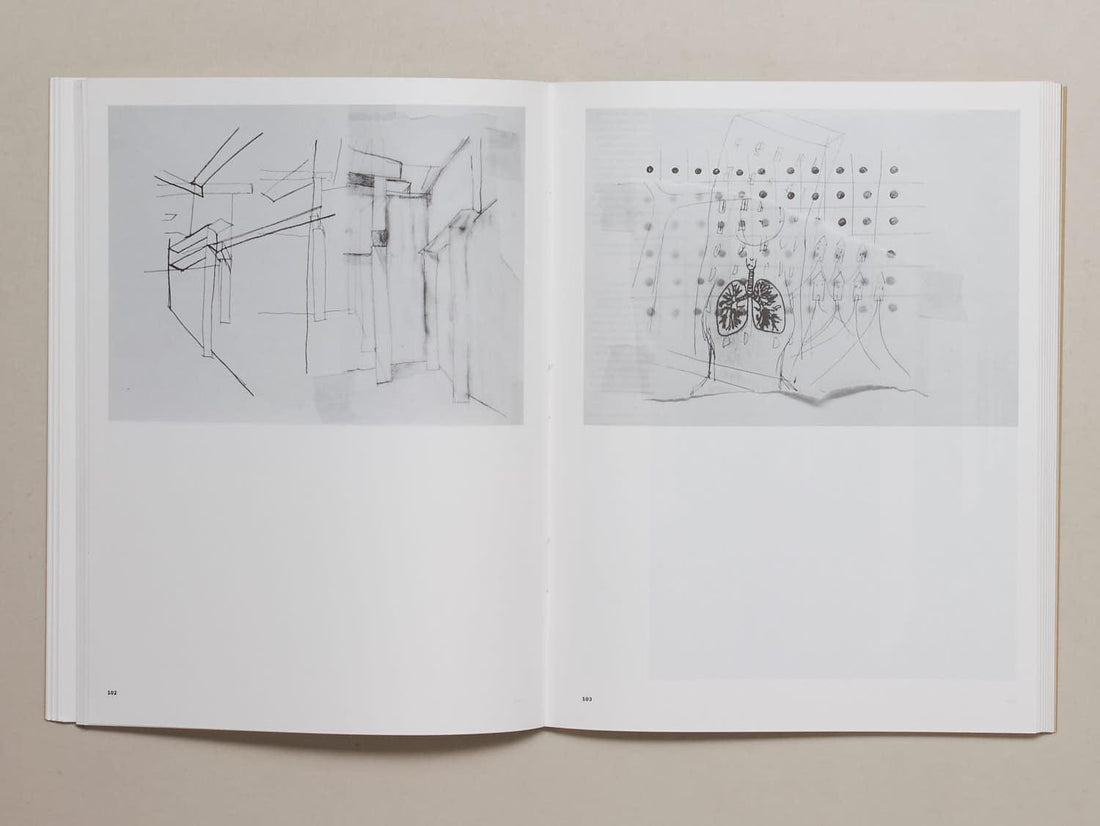 Carlos Bunga - Antenne Books