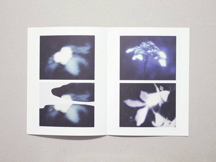 Photographic Incident